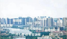 武汉汉南区最新爆料,揭秘区域发展新动态与民生焦点